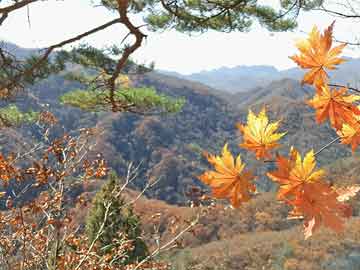 红河旅游必去十大景点推荐？